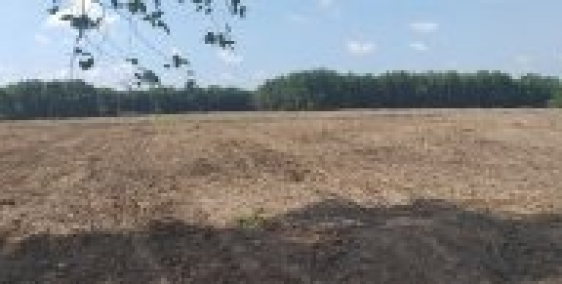 Đất mẫu tại Hồ Tràm, Phước Thuận,Xuyên Mộc, Bà Rịa Vũng Tàu.