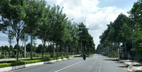 CƠ HỘI ĐẦU TƯ ĐẤT THỔ CƯ STELLA MEGA CITY GIÁ RẺ CHỈ 18 TRIỆU/M2 + 3 CÂY VÀNG.