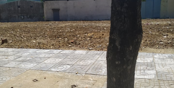 300m2 đất ở sổ đỏ, mặt tiền đường lớn,