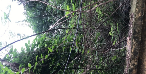 Biên Giang Hà Đông đất giá cả hợp lý 10 triệu / m2