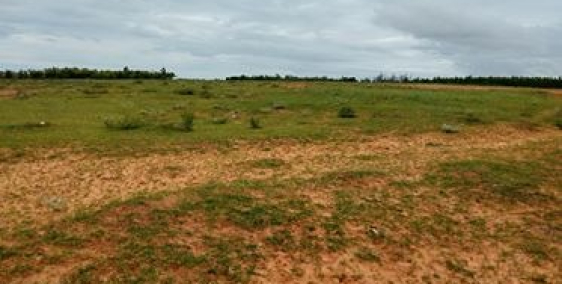 Tôi có một lô đất chính chủ cần bán gấp