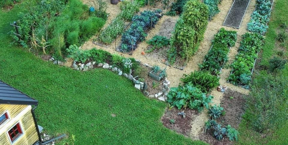 Bán đất sào Hàm Liêm giá 1tr/m2