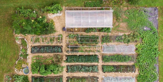 Bán đất hàm liêm đường nhựa 12m gần ubnd hàm liêm