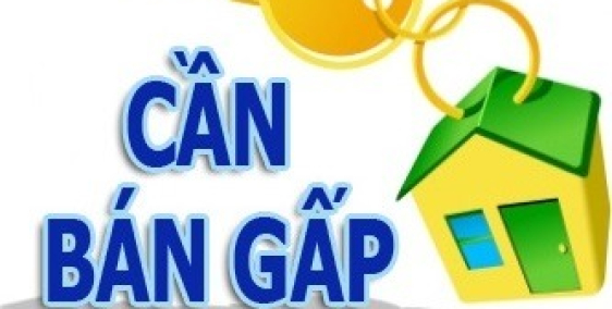 Bán qua tay lô đất vừa trúng đấu giá MBQH 91 tại xã Hoằng Tiến, Hoằng Hóa