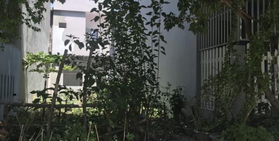 CẦN BÁN LÔ ĐẤT BẦU VÁ 1 GIÁ ĐẦU TƯ CHÍNH CHỦ - Giá chính chủ