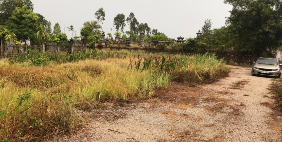 Đất thông Bàu Vá đẹp rẻ và khỏe liên hệ ngay nào