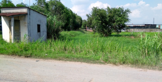 Cần sang nhượng đất nền xây biệt thự vườn 10x21.