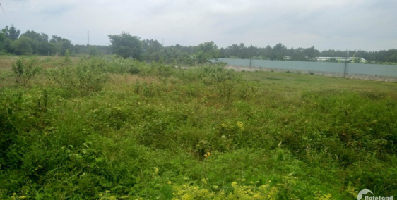 đất củ chi thổ cư mặt tiền đường nhựa 91m2 bán 950 triệu.