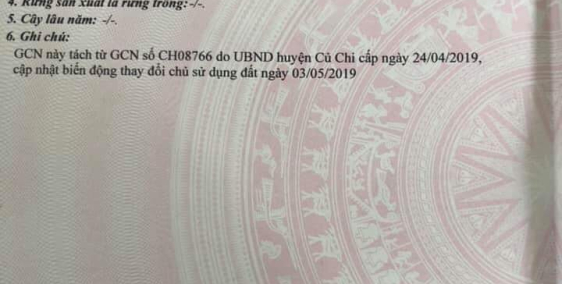 Tôi kẹt tiền ! Bán gấp nền 22×17 Tân An Hội Củ Chi SHR/500triệu