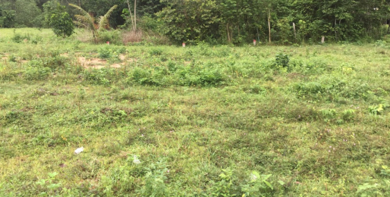 Chính chủ bán gấp lô đất Nguyễn Văn Khạ-Tân An Hội –Củ Chi ,SHR, 0938027224 A Tú