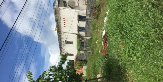 Cần ra gấp lô đất tại đường Nguyễn Văn khạ, Củ Chi gần Sư Đoàn 9, 700tr, 185m2