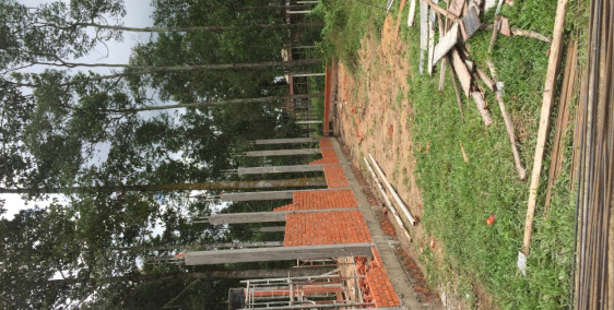 BÁN GẤP đất nền thổ cư 100% đường Cây Bài, Củ Chi, 450 triệu, 90m2