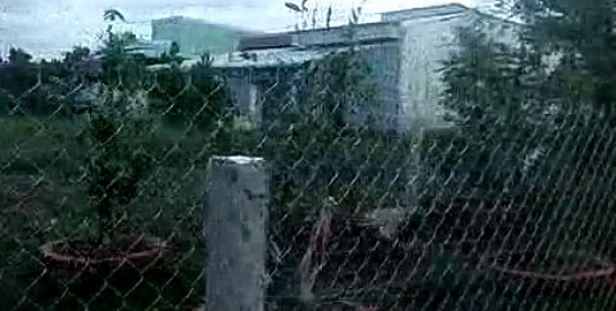 Bán Đất thổ cư đã có sổ hồng 100% thổ cư - Khu dân cư 80 nền đã xây nhà ở 35 nền