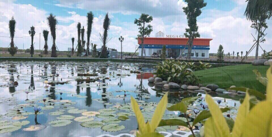 Cơ hội cuối sở hữu đất thổ cư mặt tiền ngay Trung tâm Hành chính huyện Nhơn Trạc