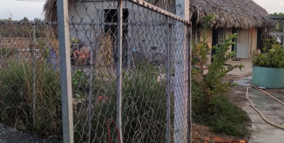 Chính chủ bán gấp nhà vườn 1500m giá siêu rẻ, sát sông, cách Q2 chỉ 8km