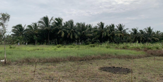 MUA NHANH ĐỂ ĐÓN ĐẦU ĐỢT SỐT NHƠN TRẠCH ĐẦU NĂM 2020