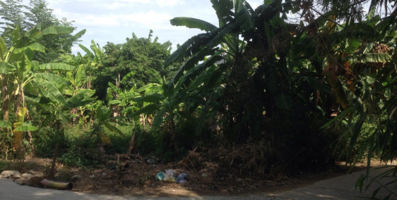 Đất Chiết bi rẻ tan xác ngại gì mà không mua