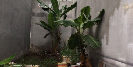 Lô đất chính chủ đường Nguyễn Thị Đinh, giá mềm. khu dân cư đông đúc, nhiền tích