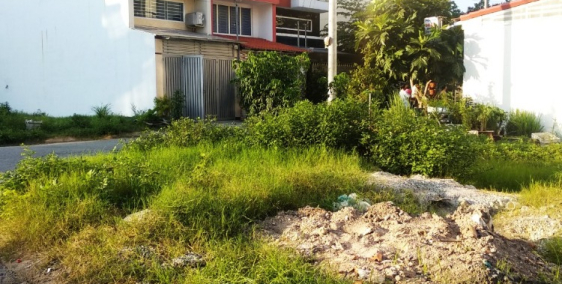 315m2 thổ cư, NỞ HẬU 15m Mặt Tiền đường Trần Văn Kiểu, Giá lỗ