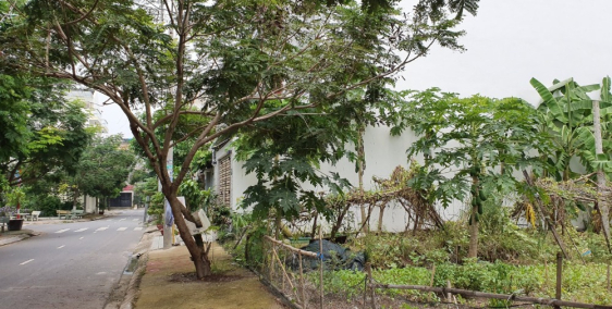 Chính chủ cần bán gấp đất nền 5x20m KDC Phú Lợi, P.7, Q.8