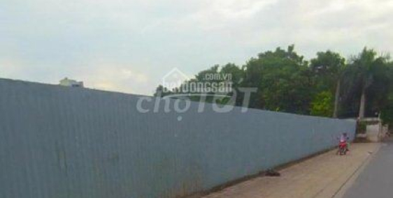 Đất phân nền 4x10m phường 14 Tân Bình, đả ra sổ