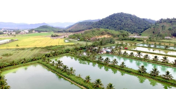 Nam Cát Tiên Island. Vocher tham quan, nghỉ dưỡng miễn phí