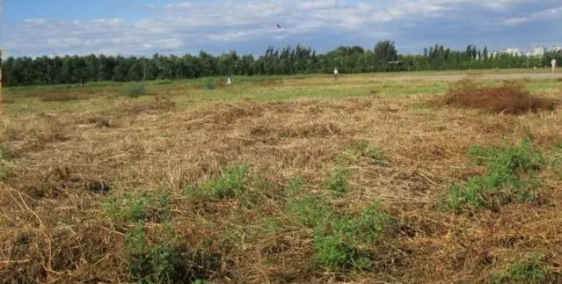 Mảnh đất Mặt đường Vệ Hồ, view Hồ Tây 27.5 tỷ, 100m2. MT 5,5m