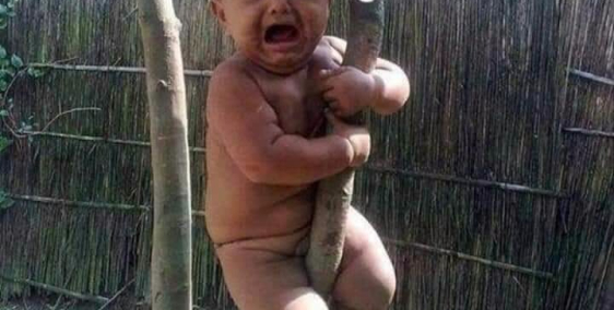 Đất nền giá rẻ pháp lý rõ ràng