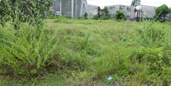 Bán hạ giá đất dự án đến cuối tháng (30/9), diện tích 450 m2 đất với giá 6-8 tr/