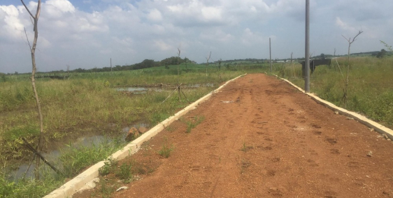 bán đất giá rẻ, có sổ hổng, vị trí đẹp