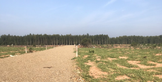 Cơ hội " Vàng " cho các nhà đầu tư khi đến với Phan Thiết.