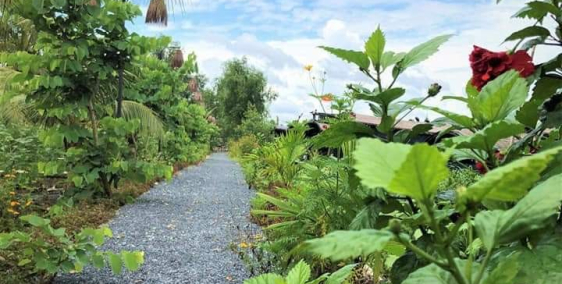 Cơ hội lớn cho nhà đầu tư đất vườn sinh thái liền kề trung tâm Phan Thiết