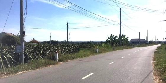 Bán đất Hàm Liêm giá chỉ 1tr/m2 - Đường nhựa trước nhà 12m, cây xanh, vỉa hè,...