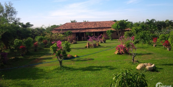 bán gấp Nhà vườn Tân Lập Hàm Thuận Nam Bình Thuận  dtich 5,3 mẫu giá đầu tư