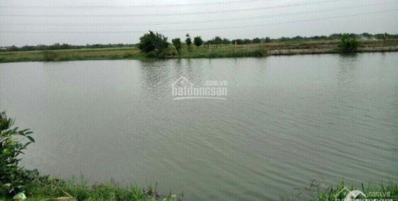 Bán đất nông nghiệp xã Phú Đông,700tr tới 900tr 1 công