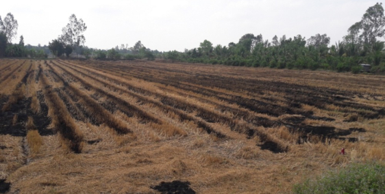 Bán gấp 2826 mét vuông đất mặt tiền đường Quốc lộ 61C