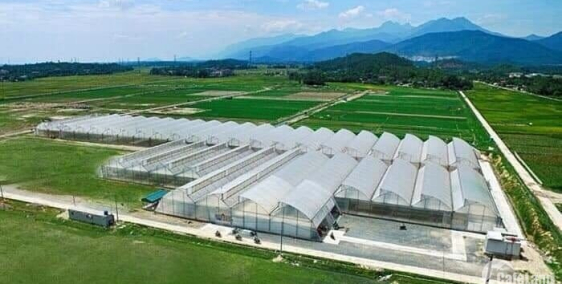 ĐẦU TƯ AN NHÀN, NGHỈ DƯỠNG 4 MÙA TẠI– BÌNH CHÂU GIÁ CHỈ 1,68TR/M2. LH:0935833076