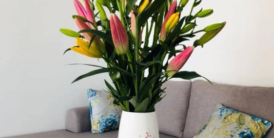 Cho thuê căn hộ chung cư Rubycity3 Phúc Lợi Long Biên