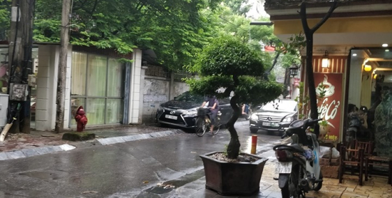 Cho thuê đất làm Các Loại Hình Kinh Doanh