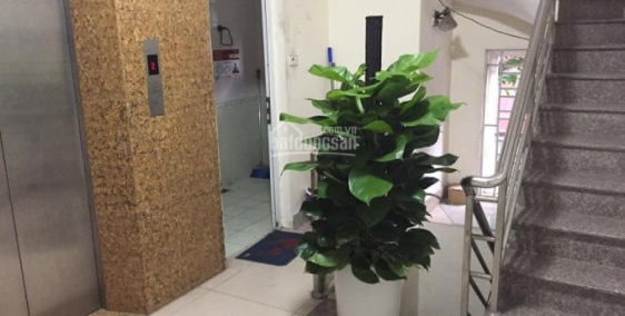 Cho thuê văn phòng 30-60m2 tại khu vực Mỹ Đình chỉ từ 5.5tr - LH : 0987.808.584