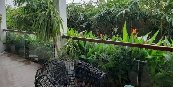 HÃY ĐỂ TIỀN CỦA BẠN LÀM VIỆC CHĂM CHỈ