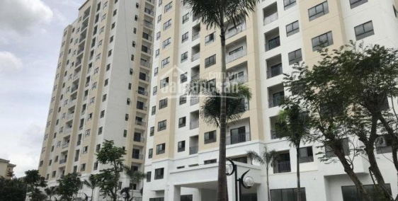 Căn hộ giá rẻ quận 12 nhận nhà ở ngay