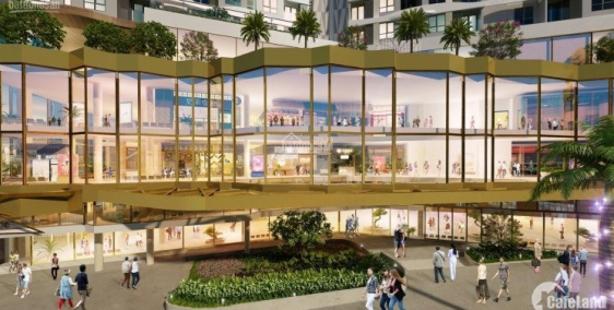 Căn hộ cao nhất Q6,D- Homme, phố Hoa Kiều trên cao, giữ chỗ GD1,CK 5%,