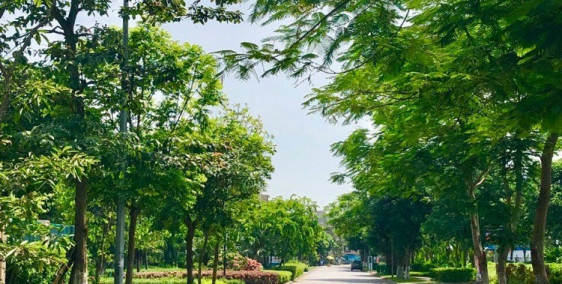 "Mở bán shophouse Lan Viên Đặng Xá, Gia Lâm, Căn đẹp nhất