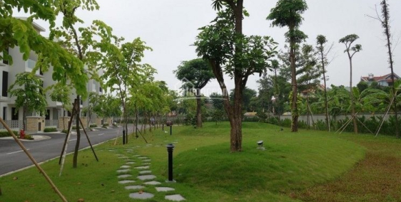Chính chủ cần bán biệt thự Arden Park, Hà Nội Garden City.
