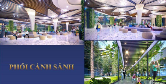 Chỉ với 1,2 tỷ  sở hữu ngay biệt thự cao tầng sổ hồng lâu dài: