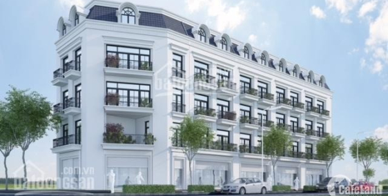 DRAGON PARK Văn Giang - Khu đô thị mới TIỆN NGHI cạnh ECOPARK Hưng Yên