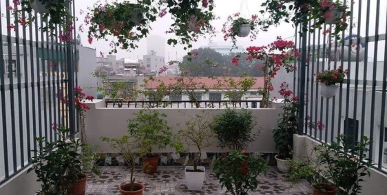 Chuyển lên chung cư ở, bán gấp nhà 36m2x4T vị trí cực đẹp tại Xuân Thủy, CG