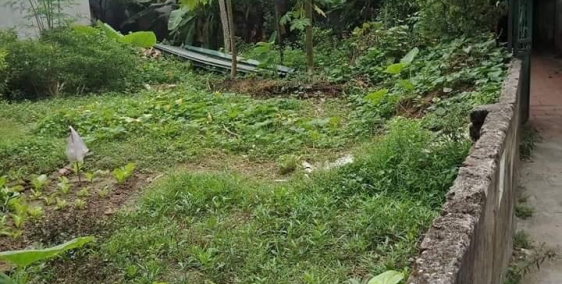 MIẾNG ĐẤT LỚN GIỮA TRUNG TÂM CẦU GIẤY, 220m x 21m MT x 12.3 Tỷ