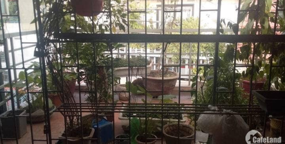 5tỷ phố Cát Linh 22m2x5tầng,MT3,2m,Ôtô cửa - Ở và KD tốt.